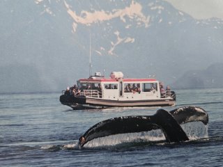 A whale tail and a boat in the water

Description automatically generated