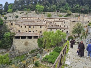 A picture containing outdoor, tree, ruins, plant

Description automatically generated