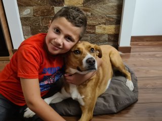 A child holding a dog

Description automatically generated with medium confidence