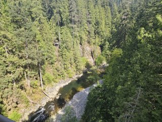 A river running through a forest

Description automatically generated