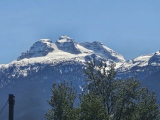 A snowy mountain with trees

Description automatically generated