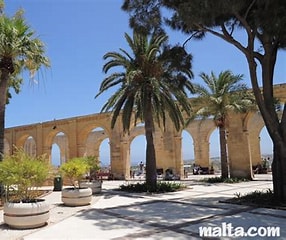 A courtyard with palm trees and a building in the background

Description automatically generated with medium confidence